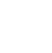 Recuperación de Discos Internos