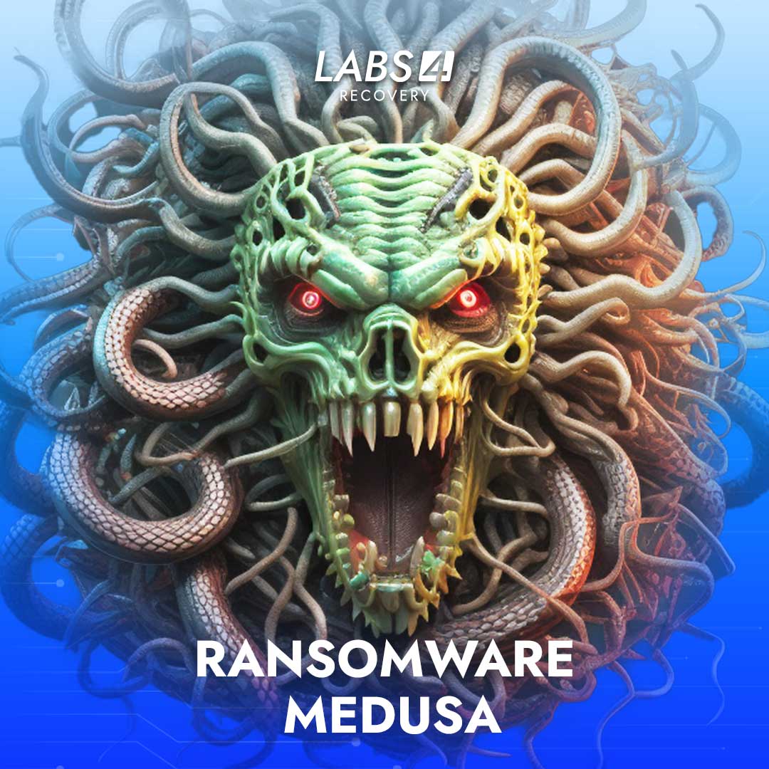 Desencriptação Ransomware MedusaLocker protect6